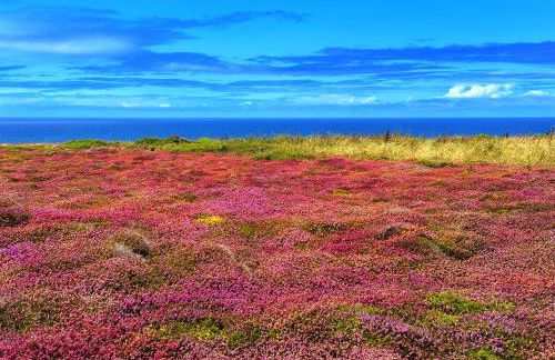 Chy Mena. South facing lodge with hot tub & views. - Foto 30