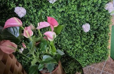 Bylew Zacisze - Foto 15