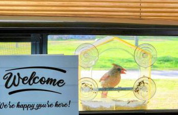 Bird House, Romance Glamping Pup Paradise Near River ADA - Photo 10