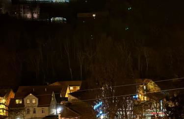 Studio Blick zum Schloss Wernigerode - Foto 2