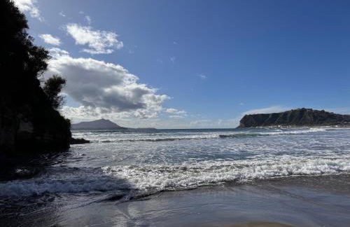 L'orchidea del faro - Foto 39