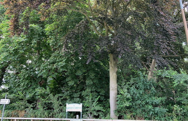 Lovely 2-bed Apartment in Lytham Saint Annes - Foto 13