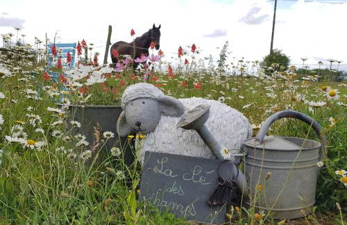 La clef des champs - Foto 8