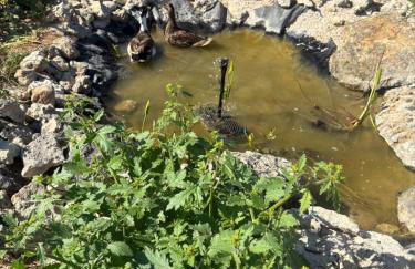 Masseria Causio - Foto 23