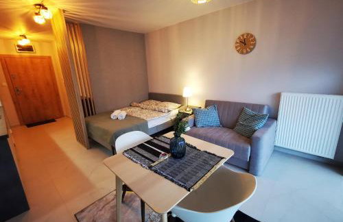 Apolonia apartament II- SPA - Foto 10