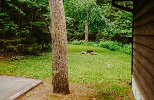 Old Stoney's Bass - Big Arbor Vitae Lake - Foto 16