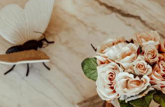 Quinta das Areias - Solar da Pena - Foto 39