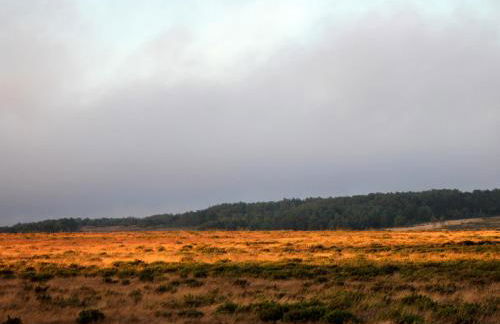 Monte de Santo Antonio - Turismo Rural - Foto 12