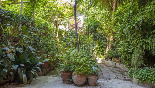 il Nespolo - Foto 5, Garden, Garden view