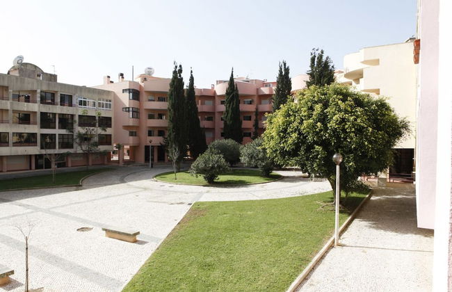 Cascais Guias Gorgeous & Spacious - Photo 42