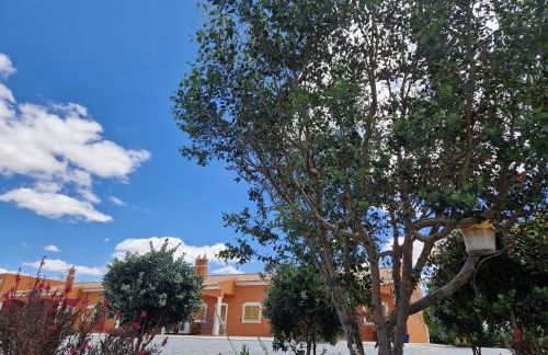 Herdade Monte Gordo - Foto 10