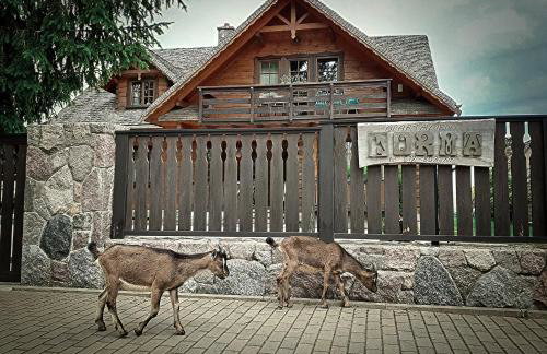 FORMA Apartament Supraśl - Foto 58