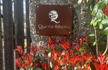 Ribeiro Country Villa com Piscina a 30 min do Porto - Foto 66