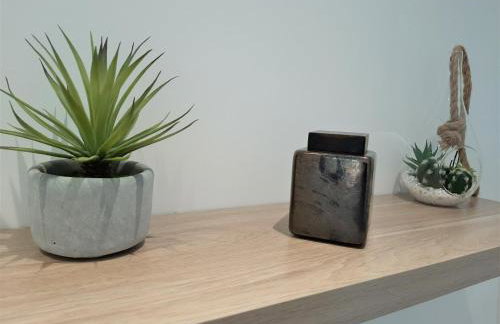 Camélia Plein Soleil Bord de Plage - Photo 26