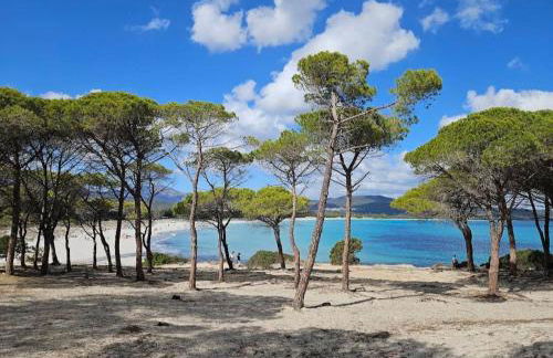 Marea Apartment - Foto 28