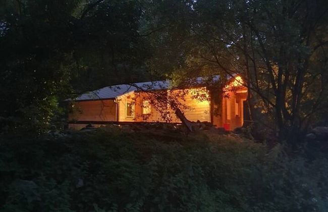 Log Cabin on the Lake - Sleeps 4 & Jacuzzi - Photo 24