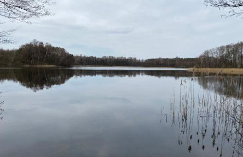 Dom Sielskie Szkotowo - Foto 19