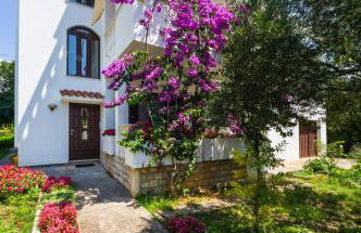 Apartments Ivanka - Foto 1