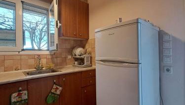 Rivers' house Tzoumerka - Foto 3, dishwasher