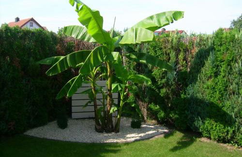 Ferienhaus Schwörer - Foto 6