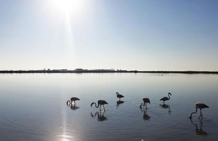 Low Price Modern Apartment Aircon & Filter Water - Foto 36