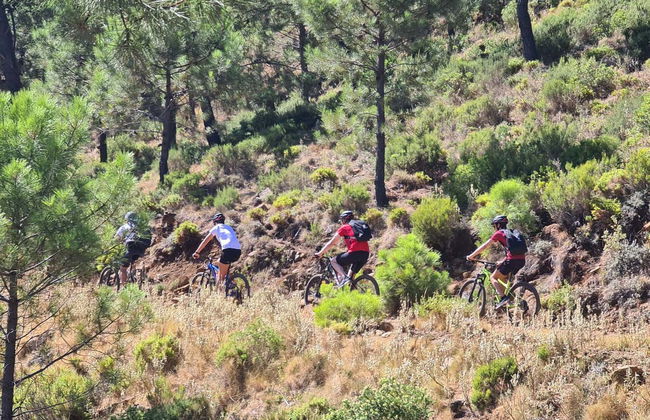 Balade à vélo à la Sierra Bermeja - Photo 4