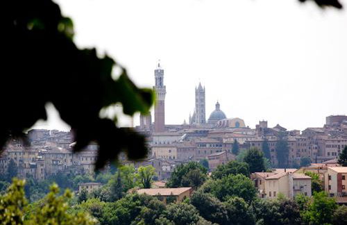 Podere La Strega - Photo 9