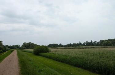 Deichliebe ÖKOlogisch - Foto 27