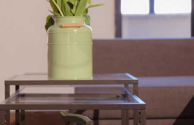 Shenkin Vilmar Apartments - Foto 6