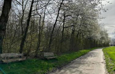 große und luxuriöse Ferienwohnung für max 8 Gäste - Foto 59