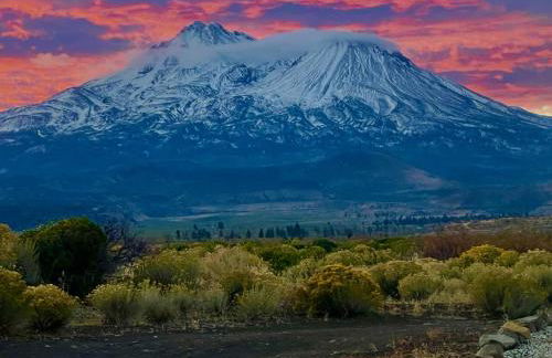 Luxury Shasta Vista Retreat & Basecamp - Sauna & Jacuzzi - Foto 6