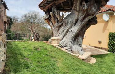 Apartamentos Alburiñas Ribeira Sacra - Foto 48