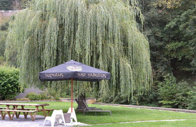 Beautiful Villa in Houffalize With Garden - Photo 26