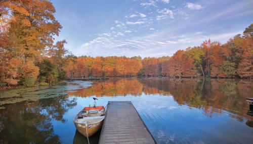 Wyndham Lake Marion 3BR Apartment with Resort Access - Foto 5