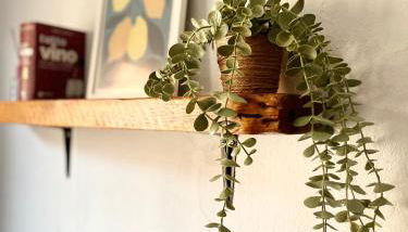 La Casita Vertical casco histórico de Segorbe - Foto 2