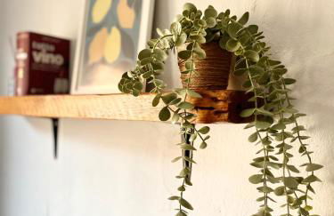 La Casita Vertical casco histórico de Segorbe - Foto 2