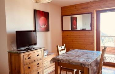 Nivéole, studio 2 personnes, Les Balcons de Recoin - Foto 4