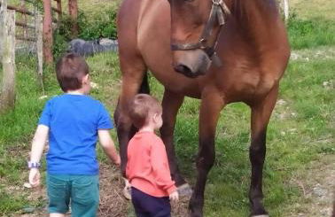 casa rural larre aundi - Foto 39