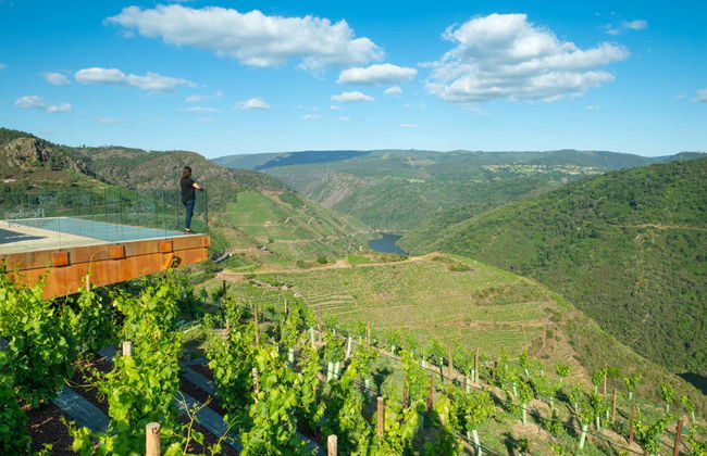 Visita alla cantina Regina Viarum - Foto 2