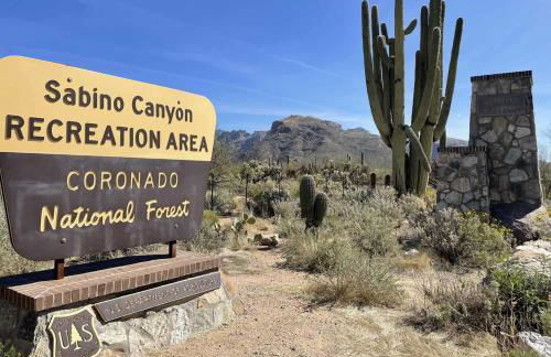 Ventana Canyon CONDO 2BR Condo w Pool & Tennis c - Foto 44