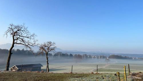 Höglerhof - Hüttenzauber - Foto 4