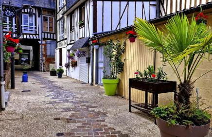 Le Cocon Suspendu - Foto 10