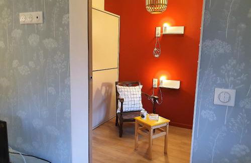 Chamonix Appartement Vue Mont Blanc avec jardin - Foto 22