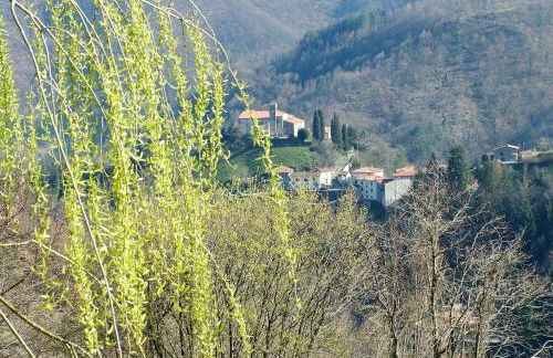 Agriturismo Selvapiana - Foto 40