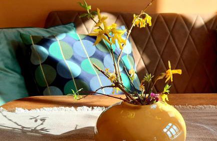 Ferienhaus Salvia - Foto 22