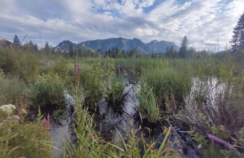 Im Spatzennest - Foto 23