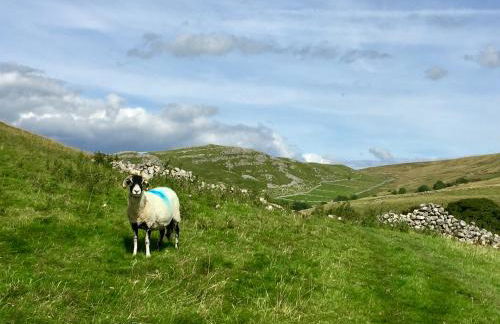 Airton Mill - Foto 34