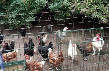 Ferienwohnung JAGODA in der Lüneburger Heide - Photo 25
