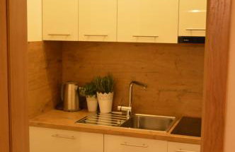 Apartamenty Agroturystyczne Papiernia Grill, Sauna & Jacuzzi - Foto 66