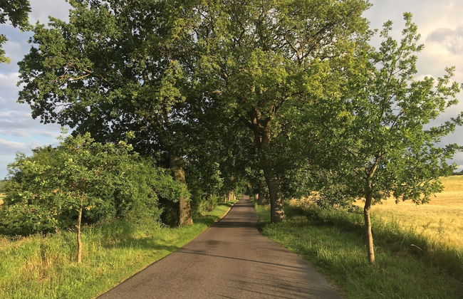Aparthotel in Sellin with garden and terrace - Photo 10